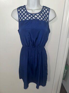 Blue Sleeveless dress